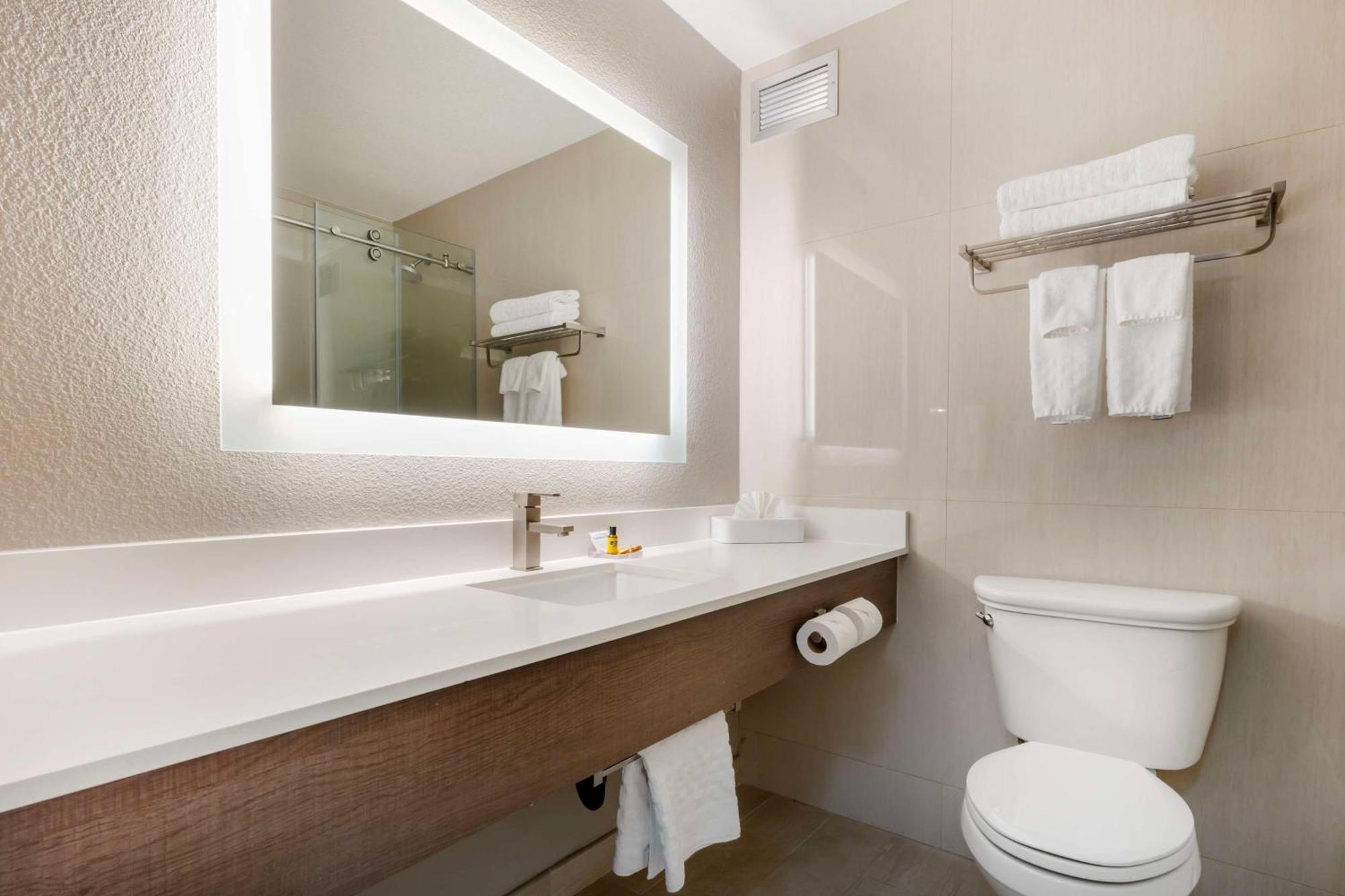 One-Bedroom Queen Suite with Sofa Bed